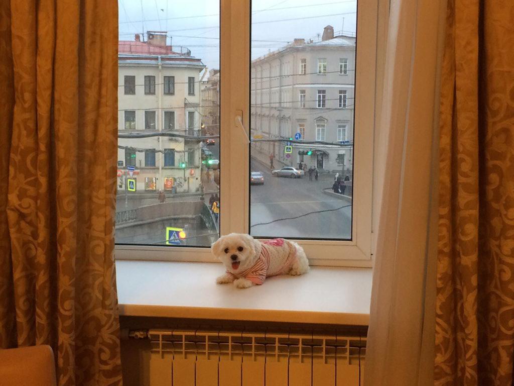 Kvartapart On Griboedova 50 Apartman Szentpétervár Kültér fotó